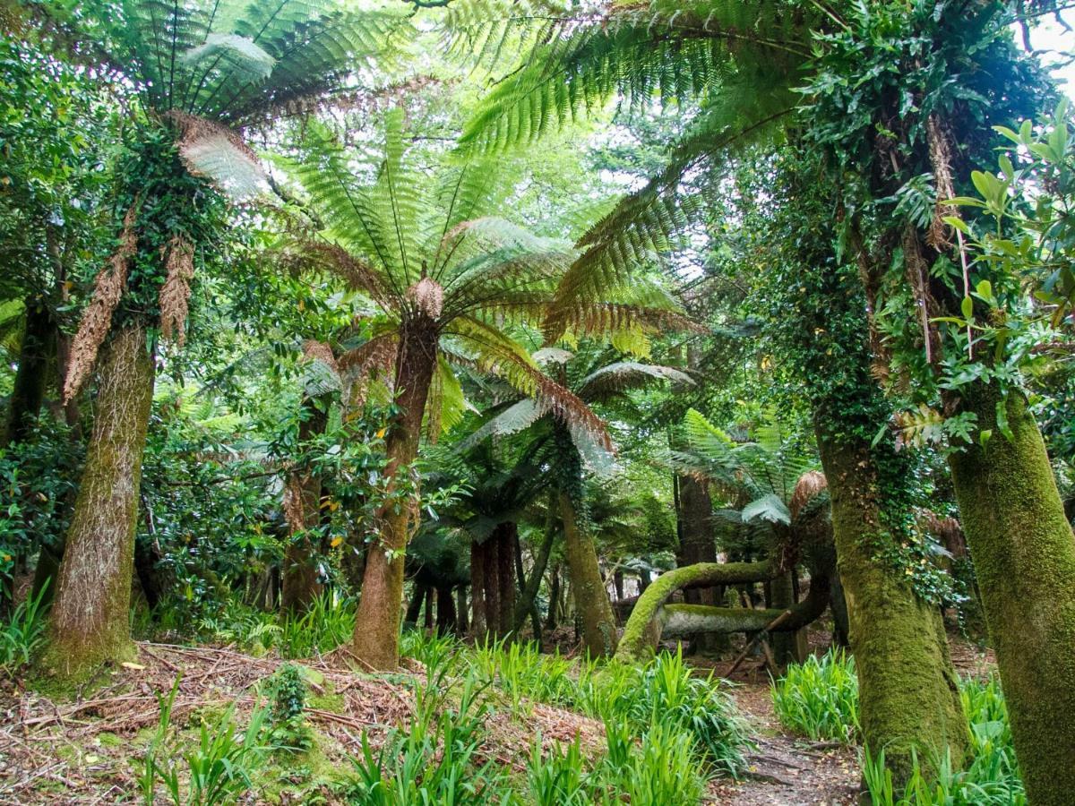 הוילה Kells Bay House And Gardens מראה חיצוני תמונה